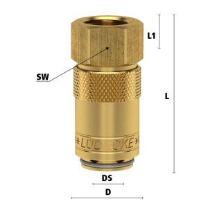 Luedecke ESDM 38 IAB - Serie ESDM DN 6 - Raccordi con...